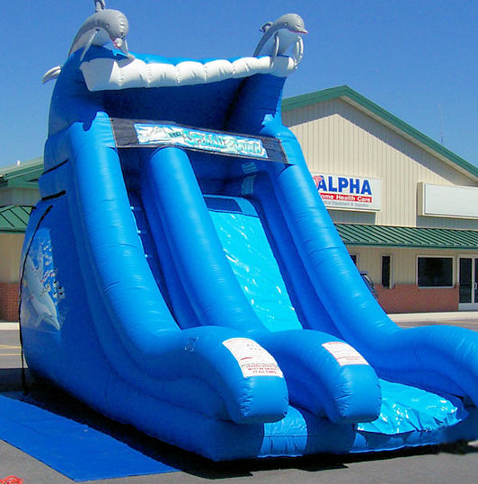 Dolphin-Slide-1.jpg