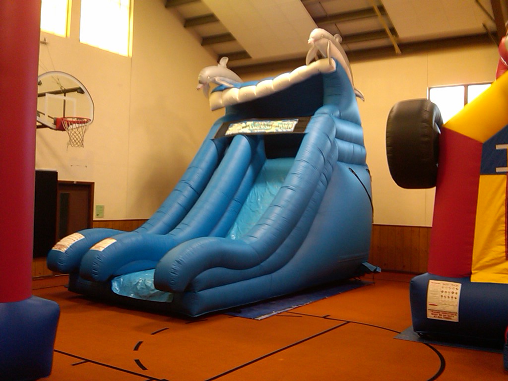 Dolphin-Slide-2.jpg