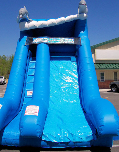 Dolphin-Slide-3.jpg