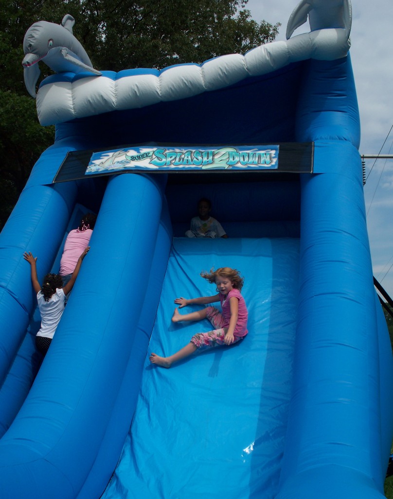 Dolphin-Slide-6.jpg